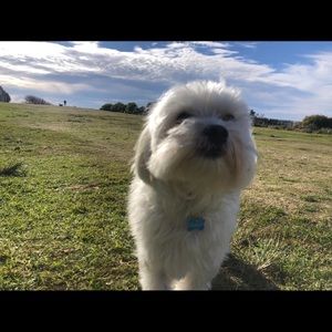 Meet your Posher, Marissa